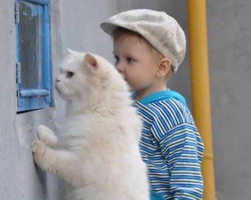 Child with White Cat