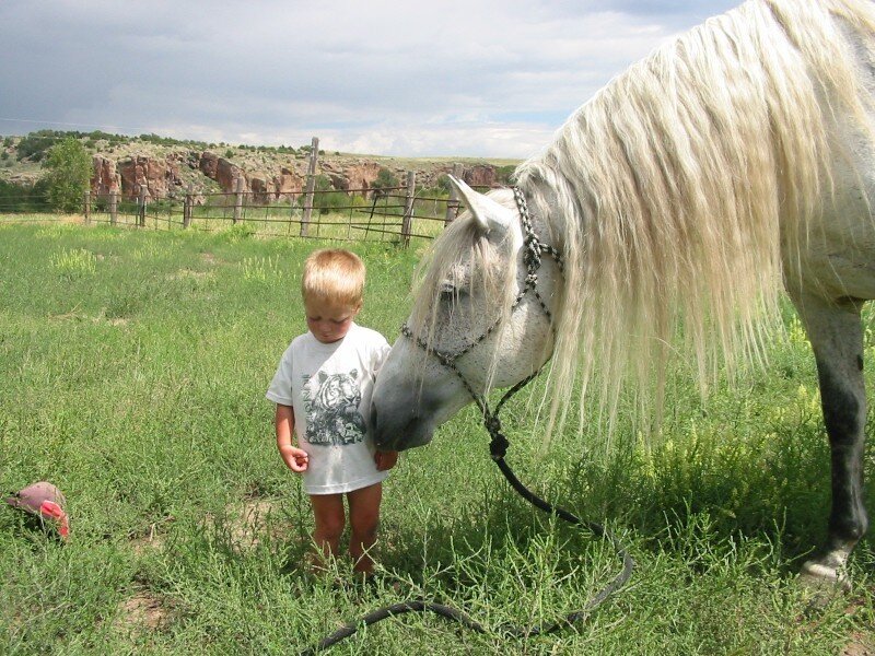 Child with White Horse