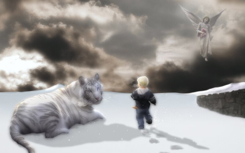 child with white tiger and angel