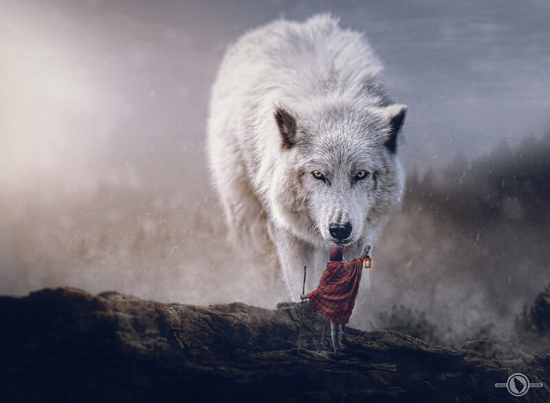 Child with White Wolf — Dramatic