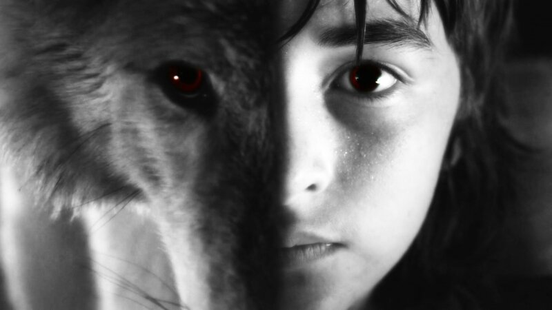 Child with Wolf Face