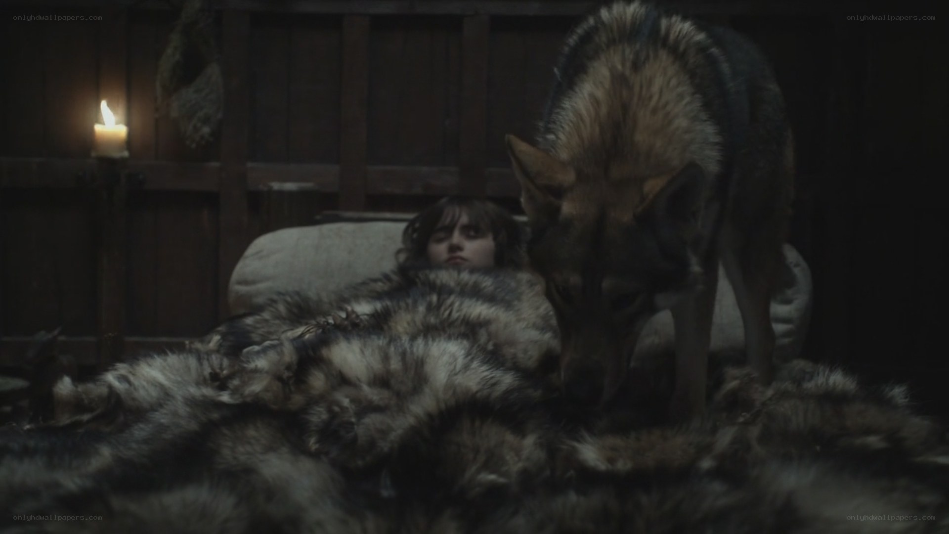 child with wolf in dim room