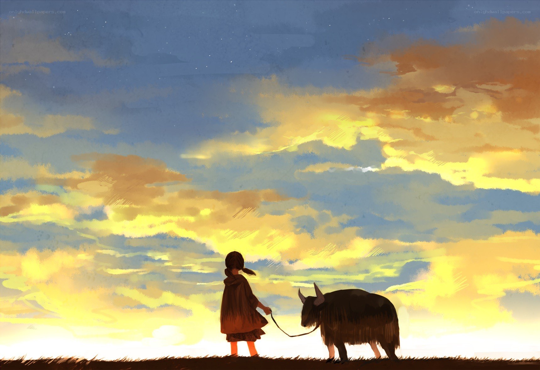 child with yak at sunset
