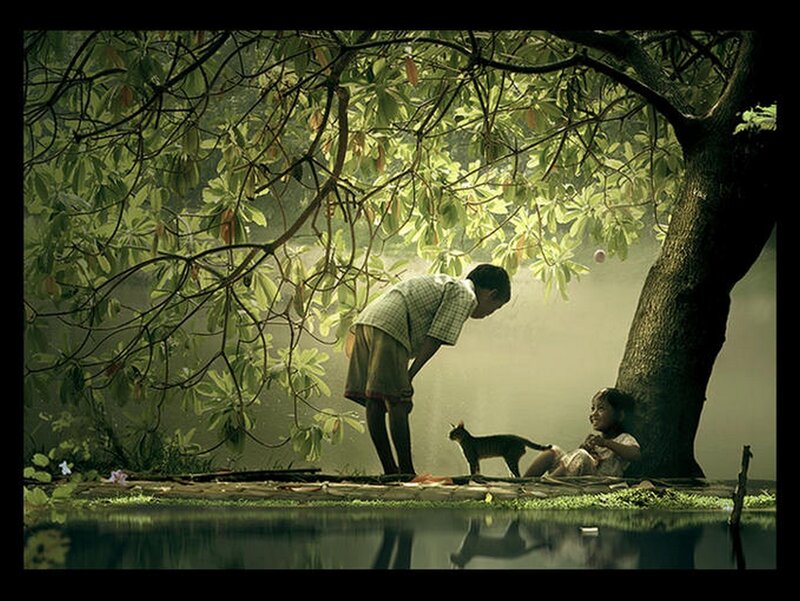 Children and cat under a tree