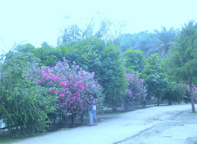 Children by flowering bushes
