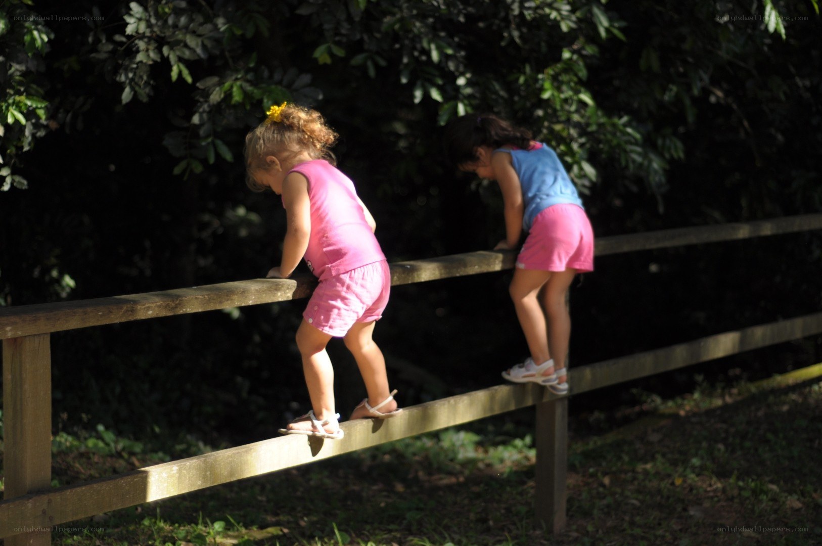 Children climbing a fence
