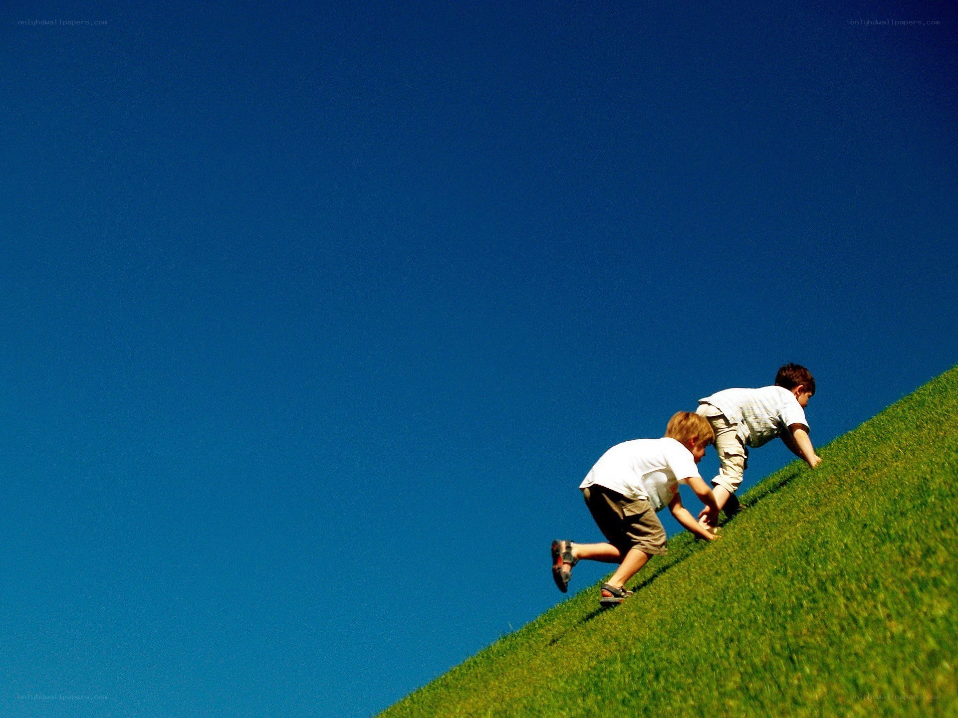 children climbing a grassy hill