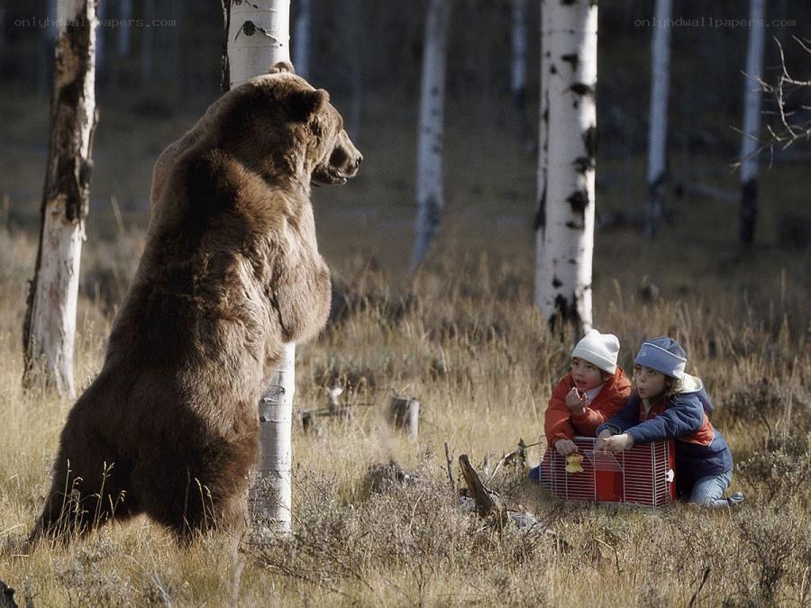 Children encounter a bear in the woods