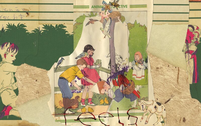 Children Feeding Animals — Green