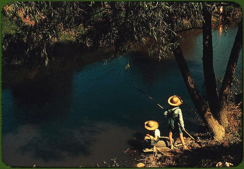 Children fishing by a river