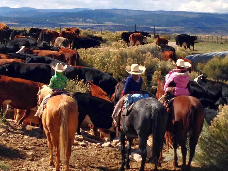 Children Herding Cattle