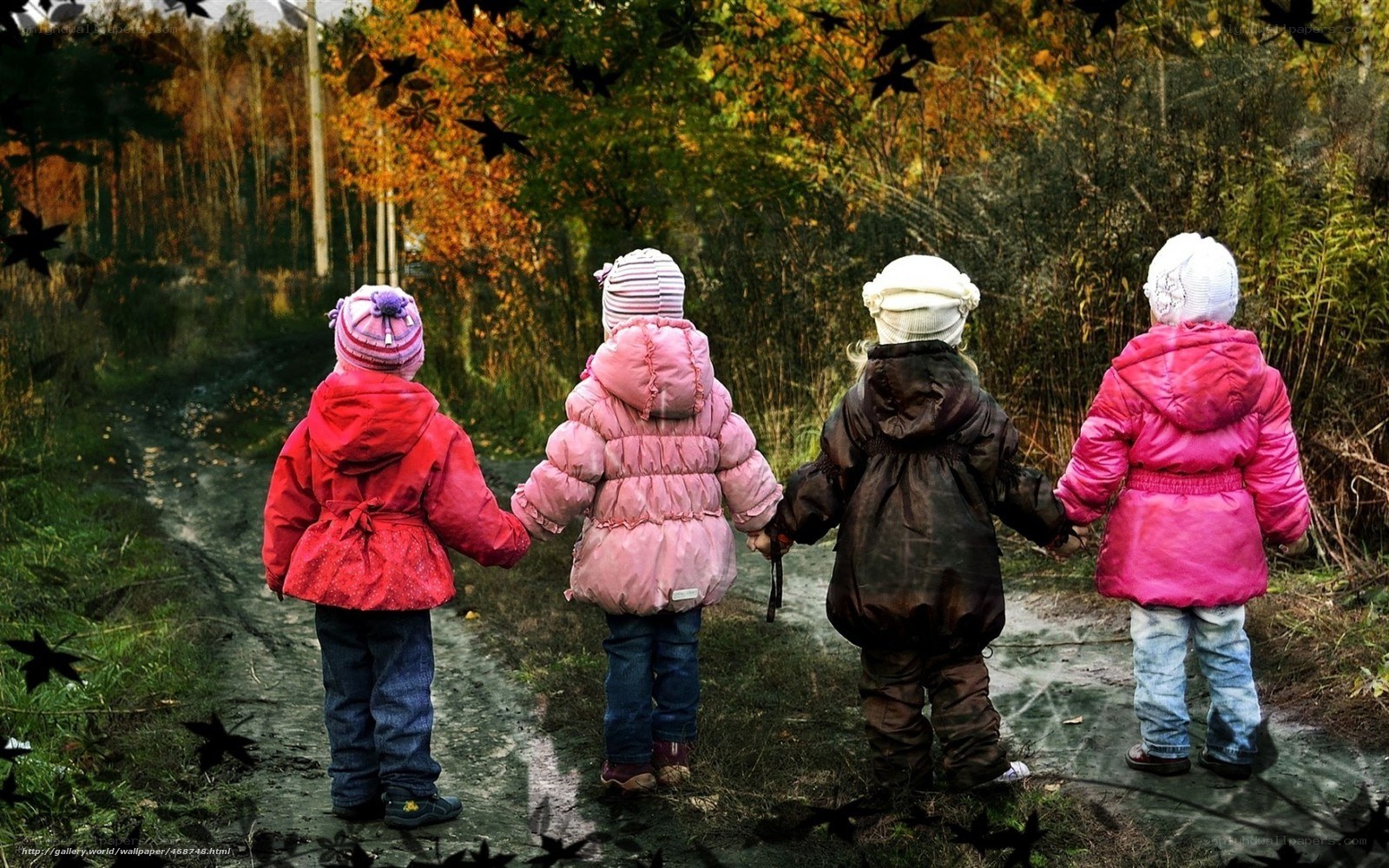 children holding hands in autumn