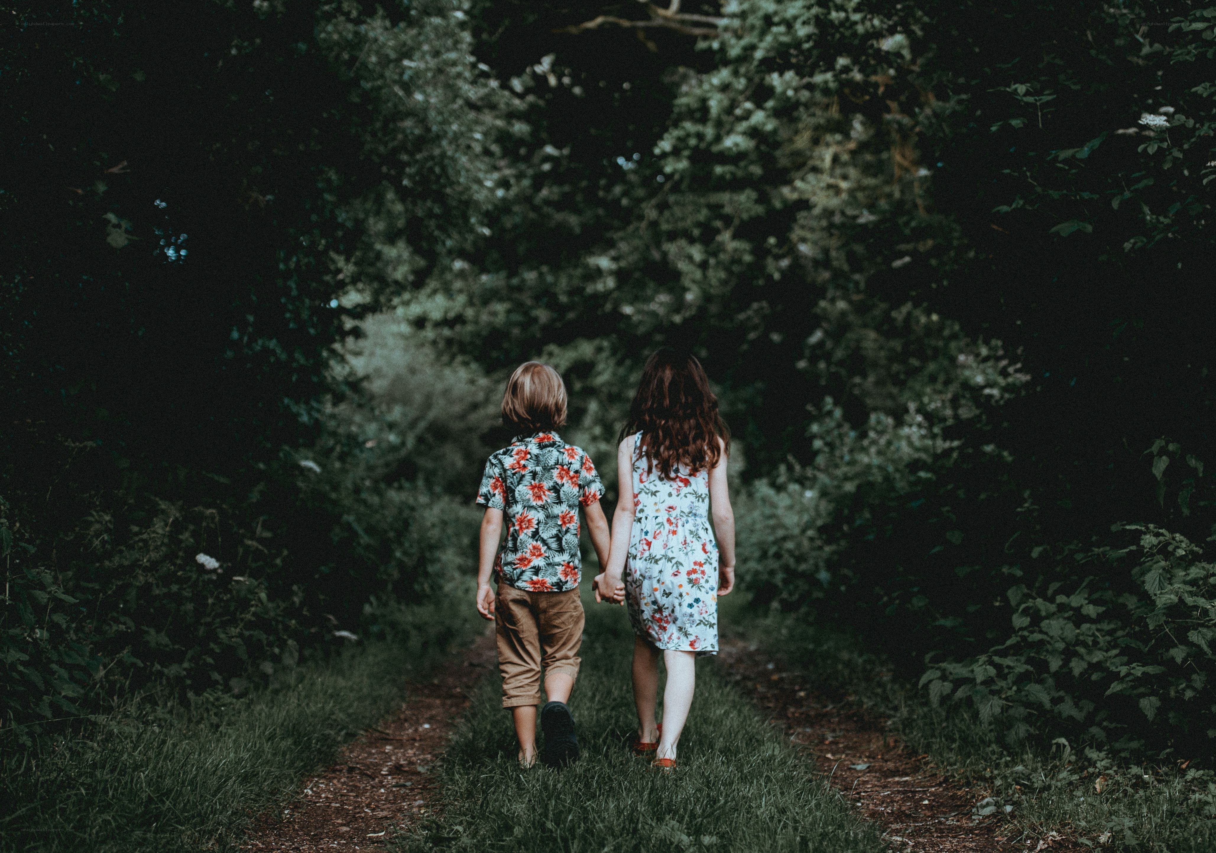 children holding hands in forest