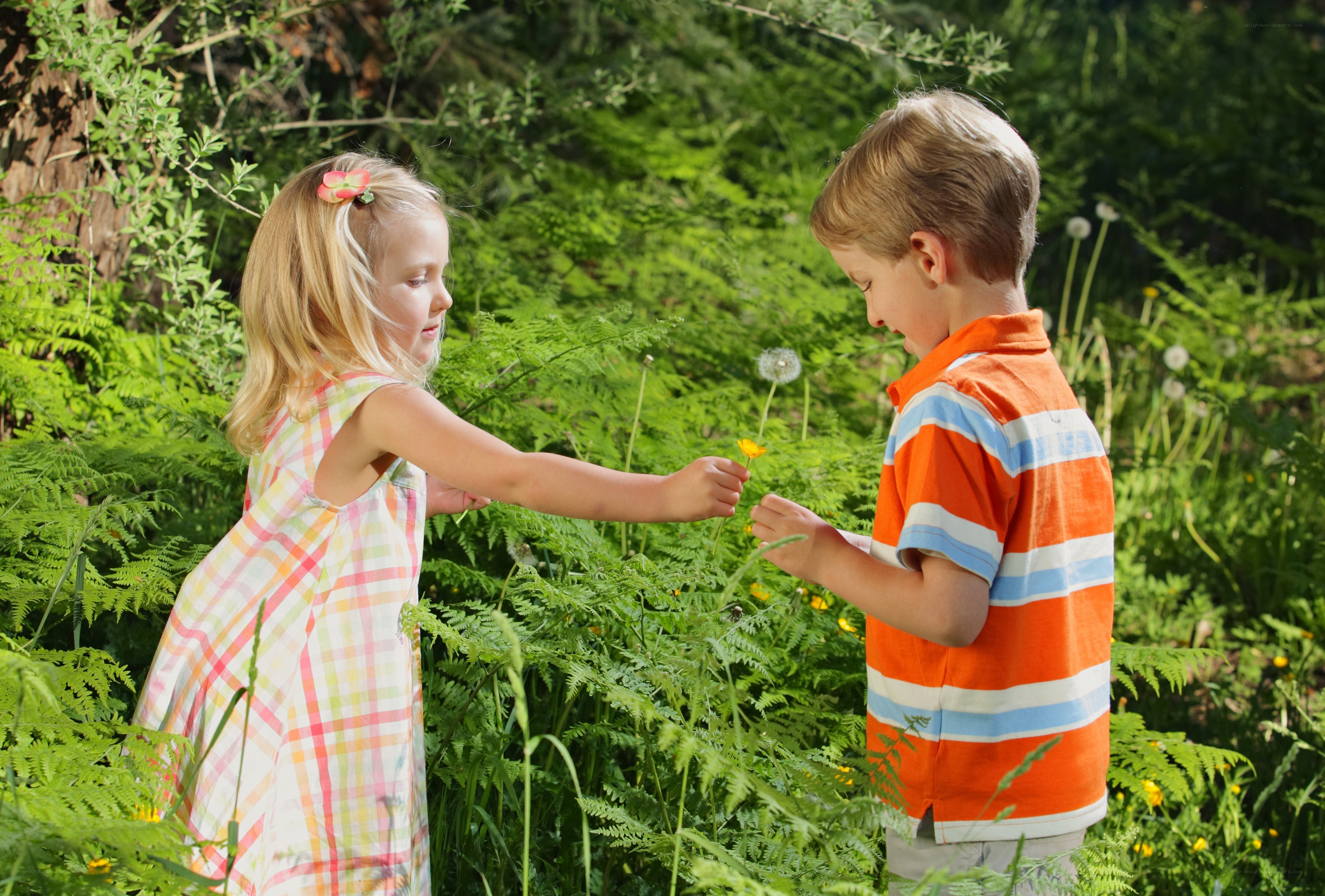 children in a garden