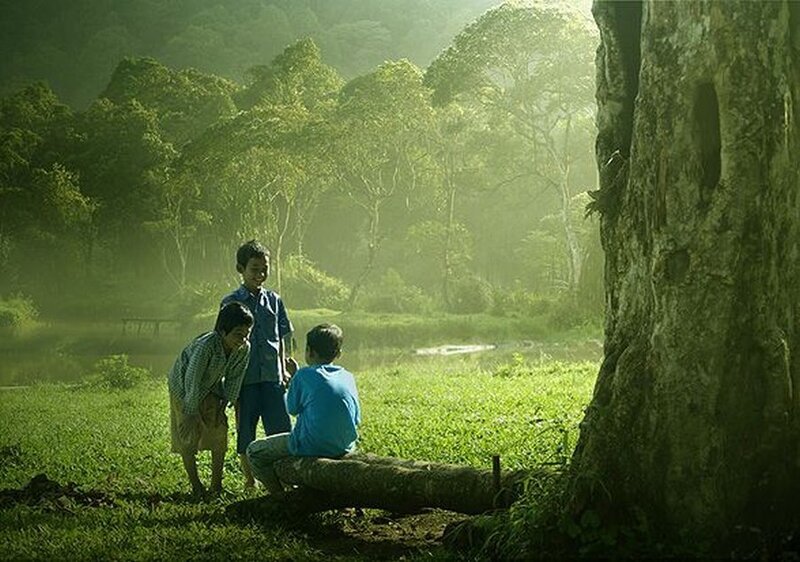 Children in a sunlit forest