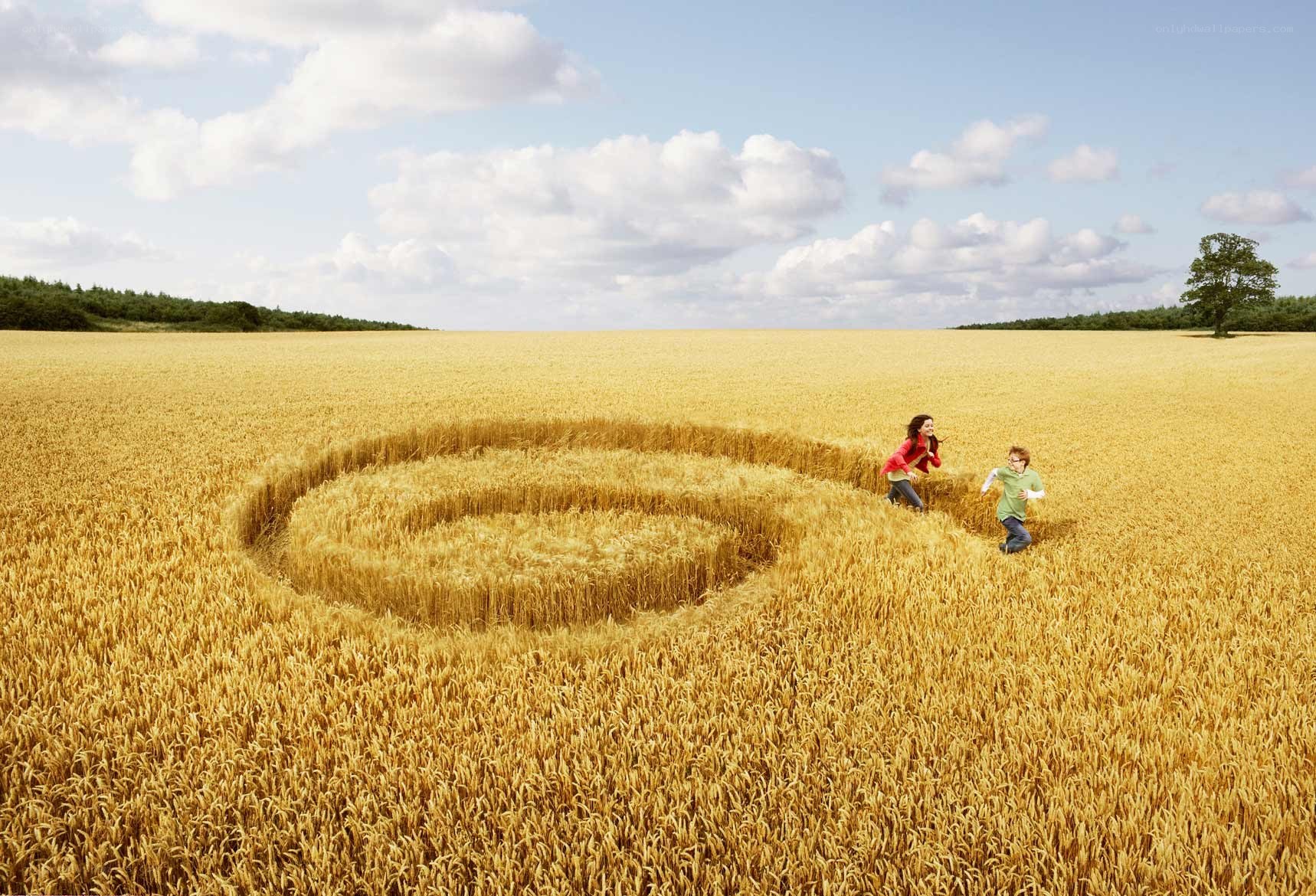 Children in a wheat field