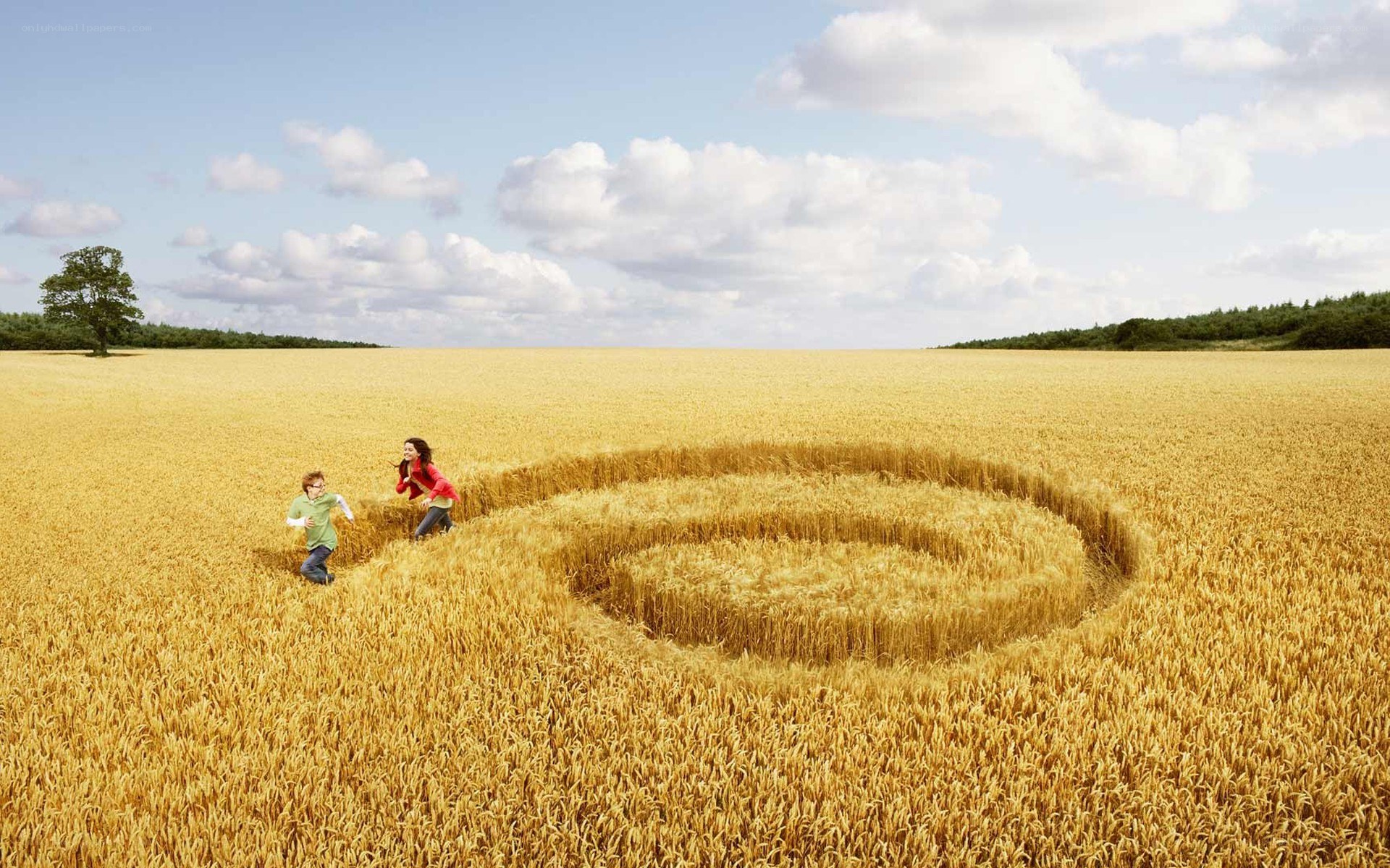 Children in a wheat field