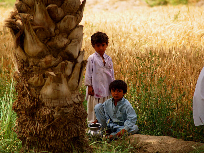 Children in a wheat field