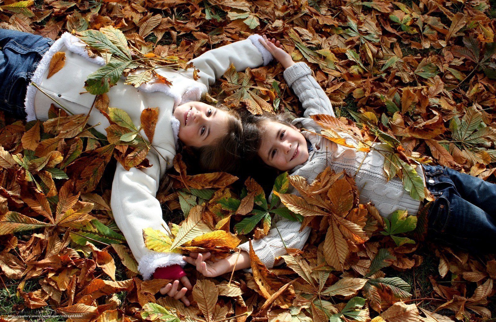 children in autumn leaves