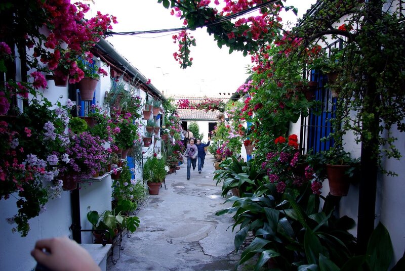 Children in Flower Alley