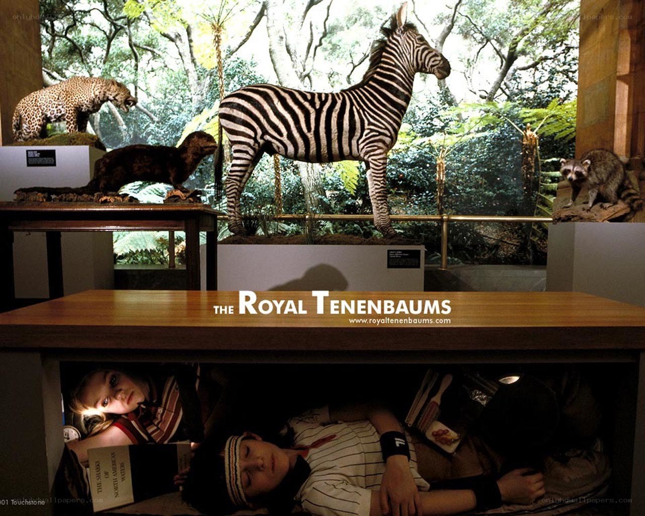 Children in museum exhibit