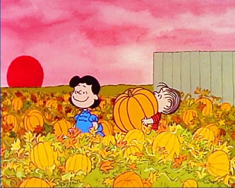 Children in Pumpkin Patch — Pink