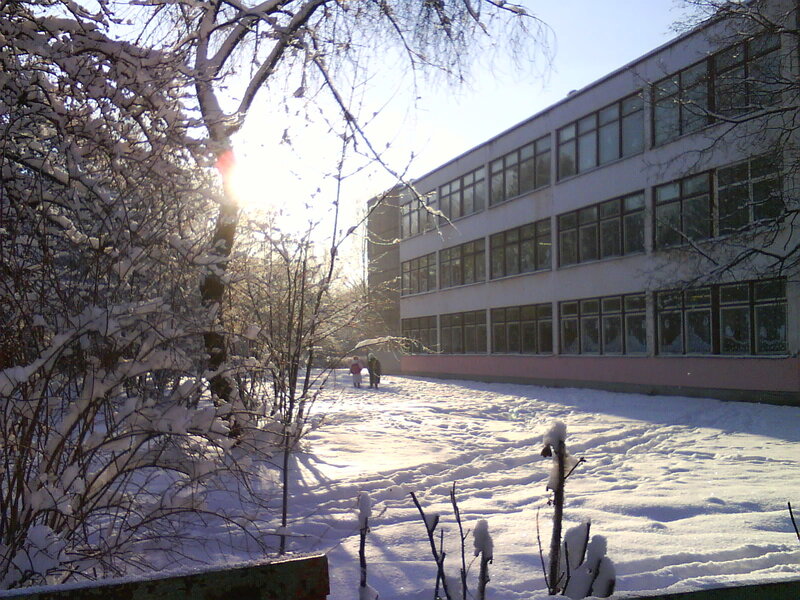 Children in Snow