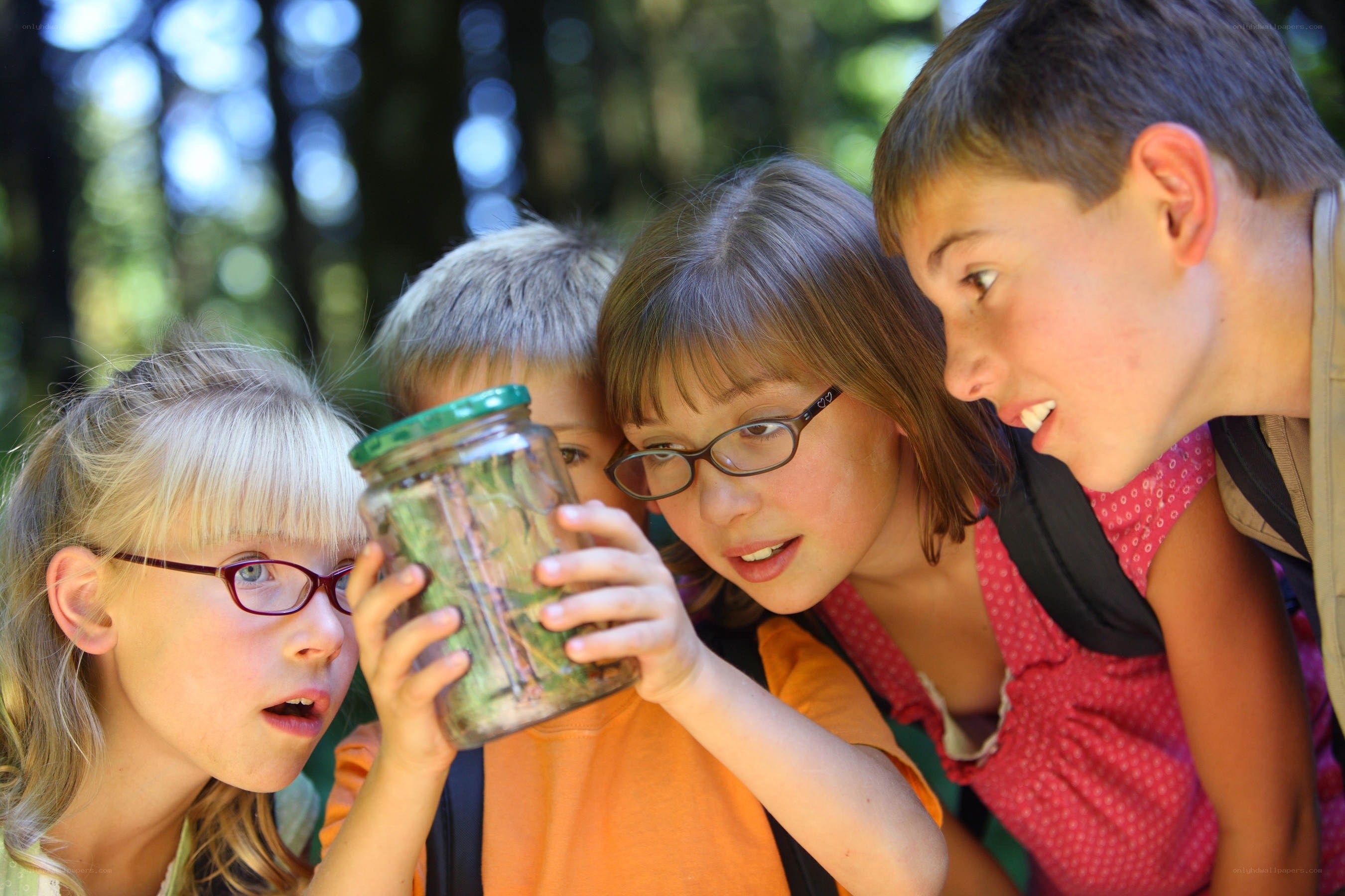 children observing insects in a jar