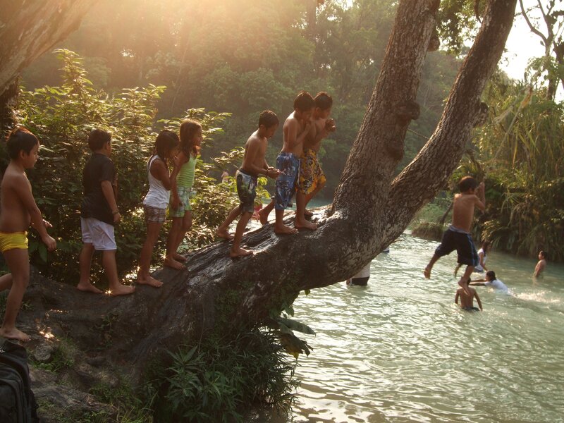 Children on a Tree Branch — Green