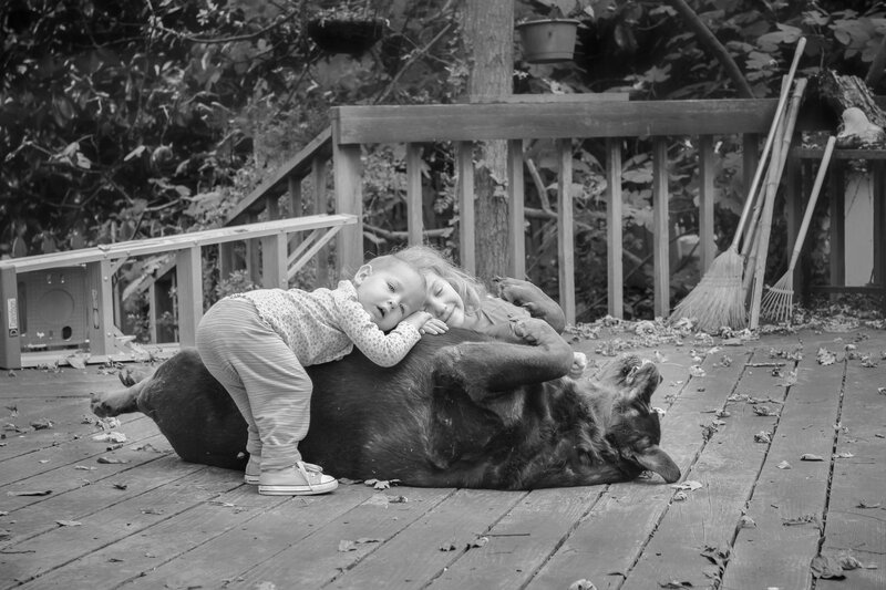 Children on Dog