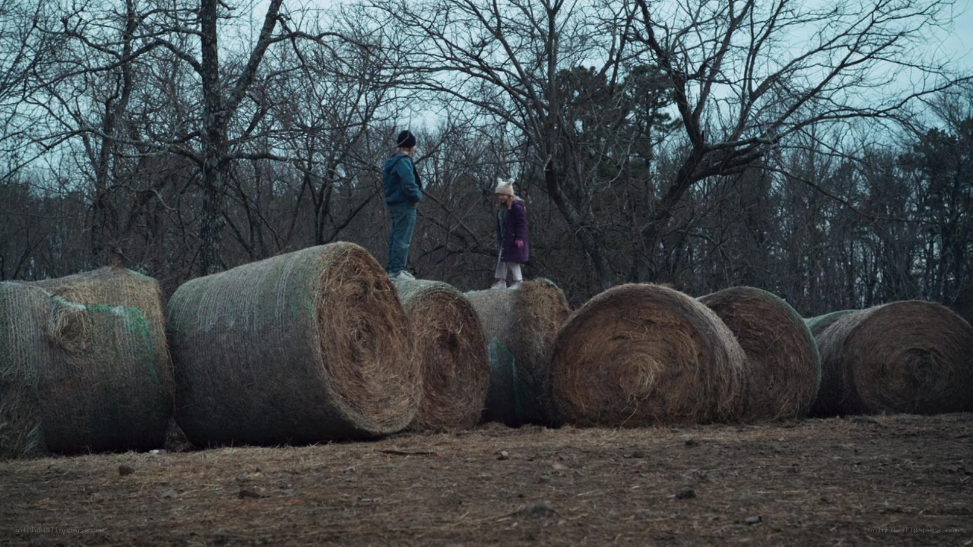 Children on hay bales in field