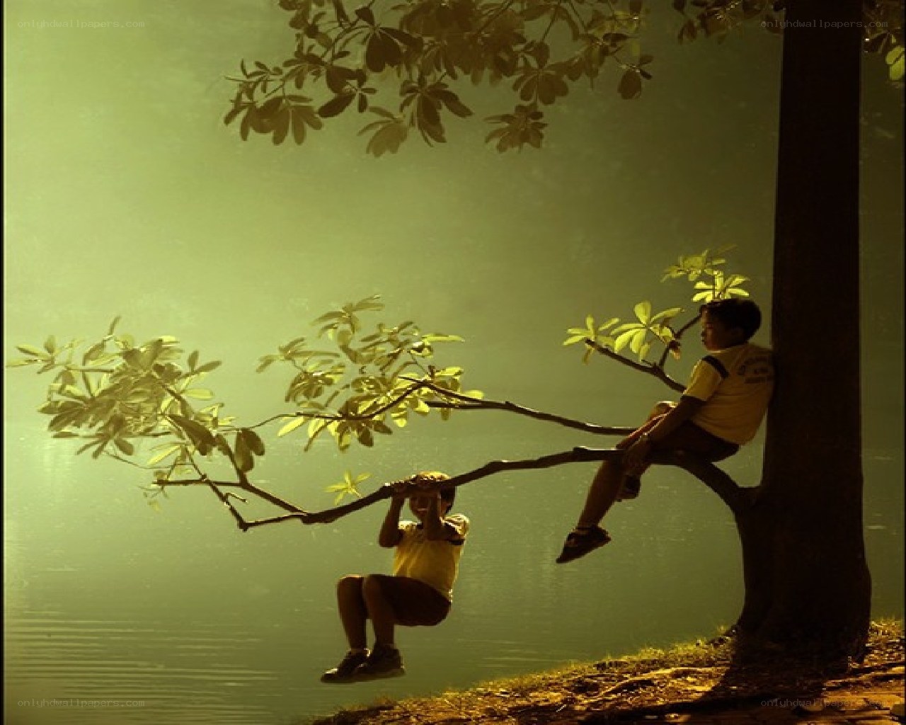 Children on tree branch by water