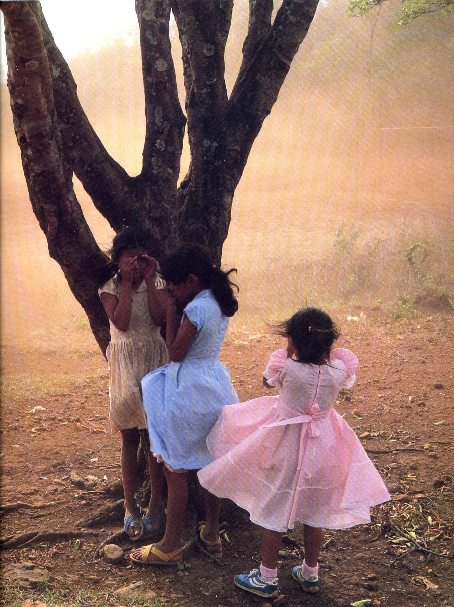 Children playing hide and seek