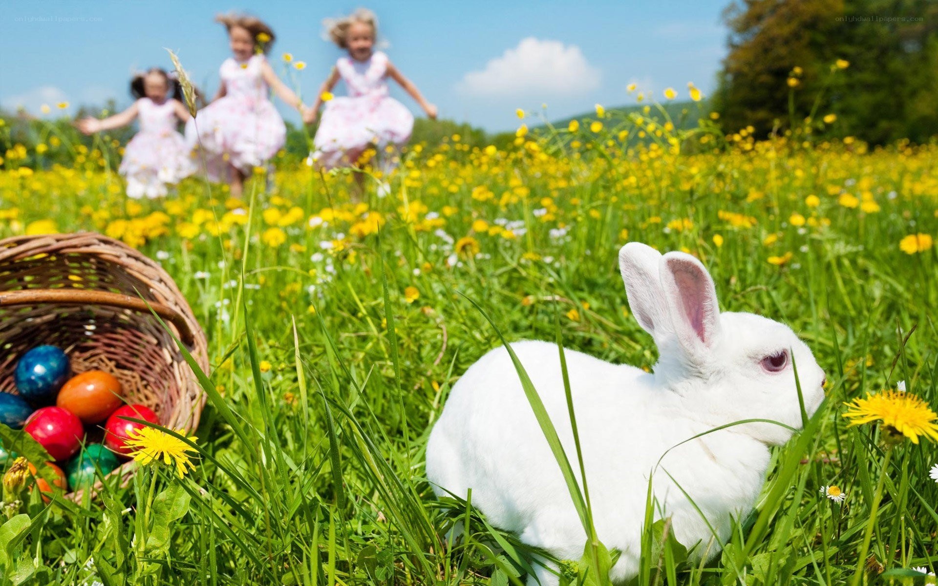 Children playing in a field