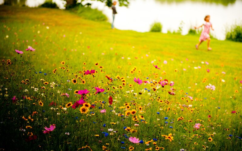 Children playing in a flower field