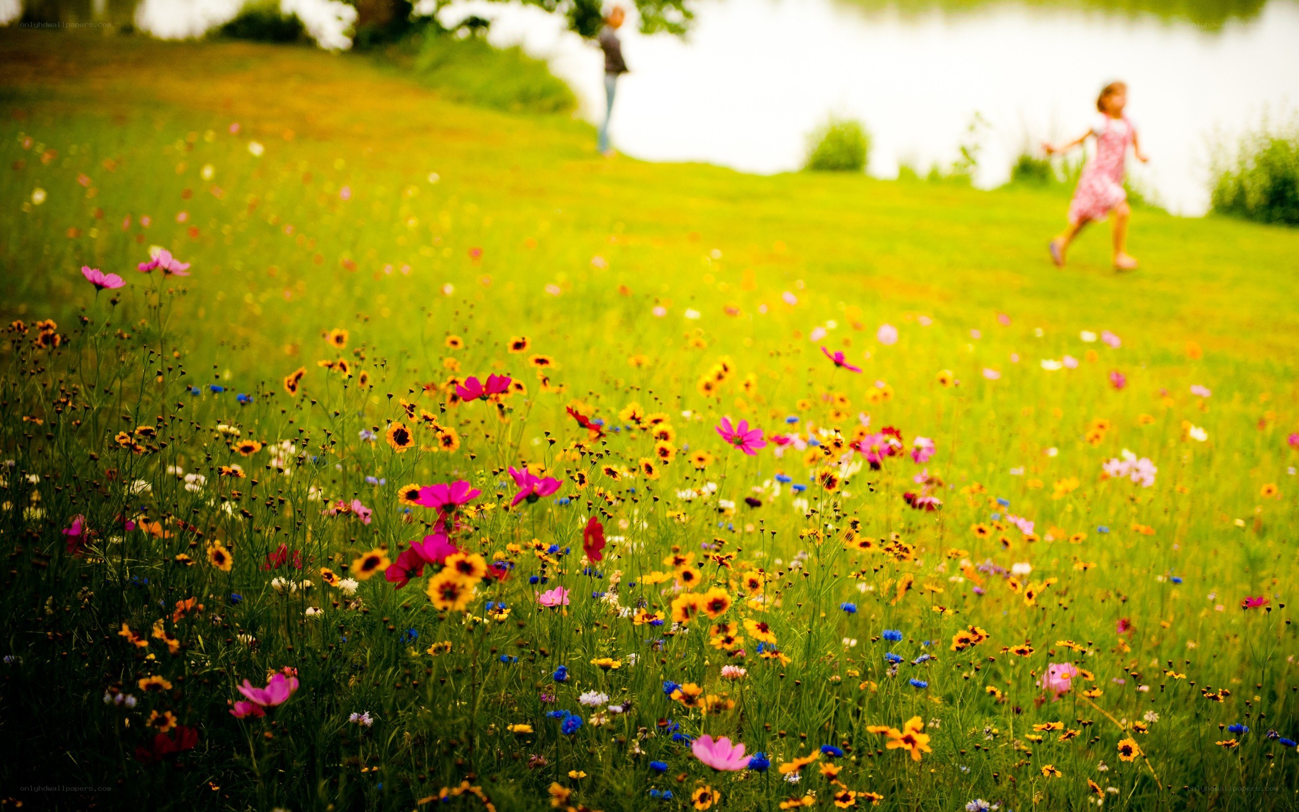 Children playing in a flower field