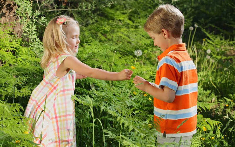 Children playing in a garden