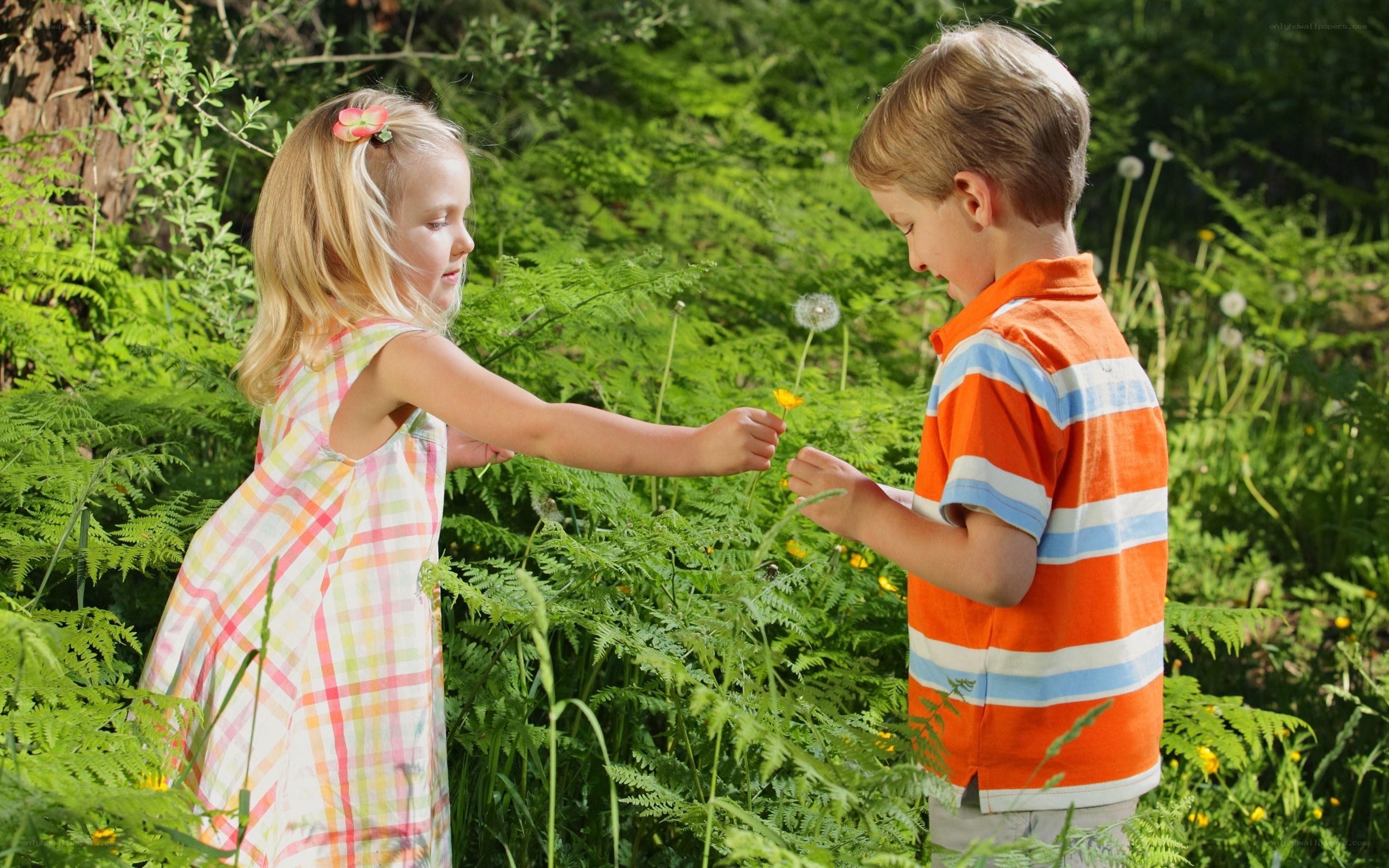 Children playing in a garden