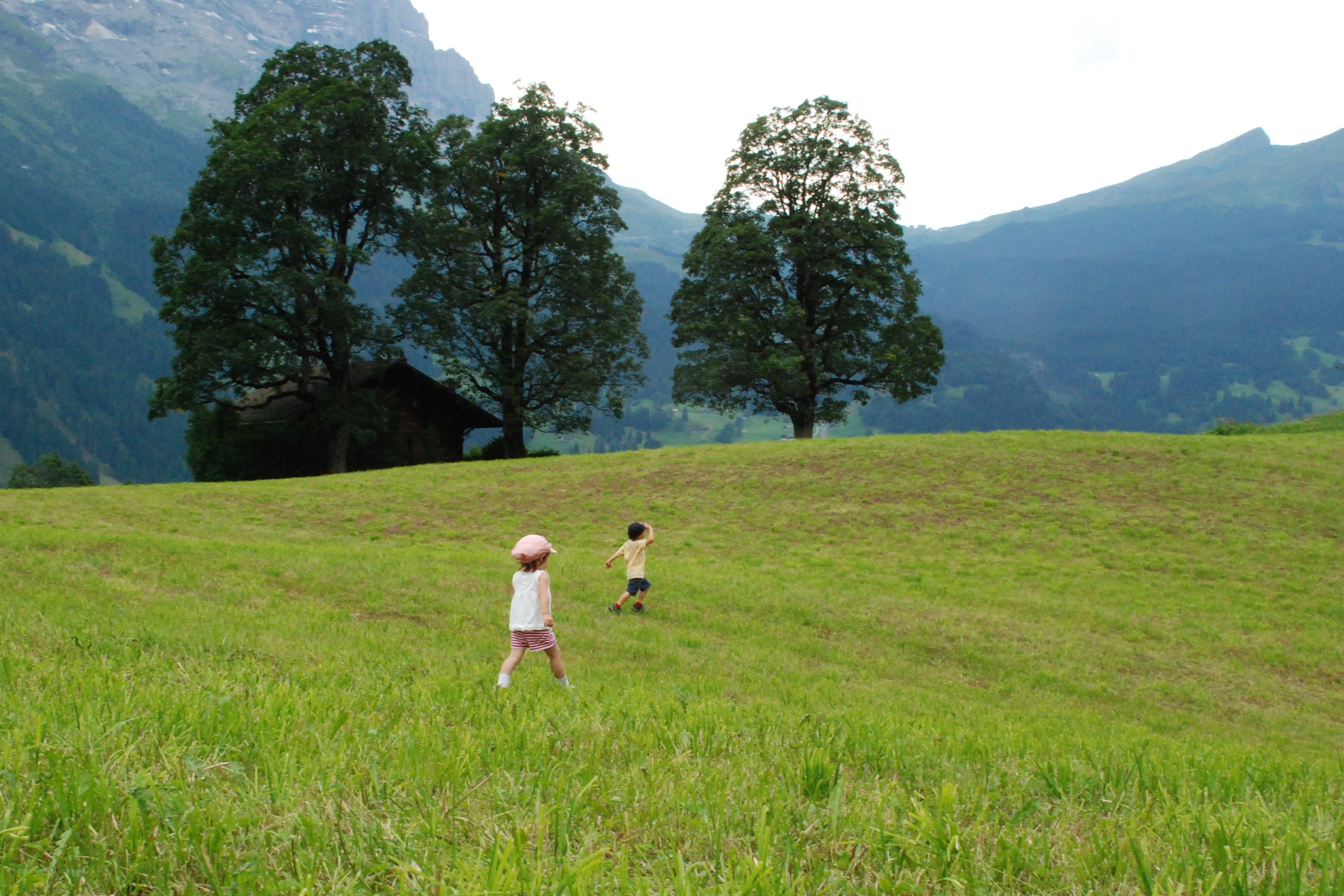 Children playing in a mountain field