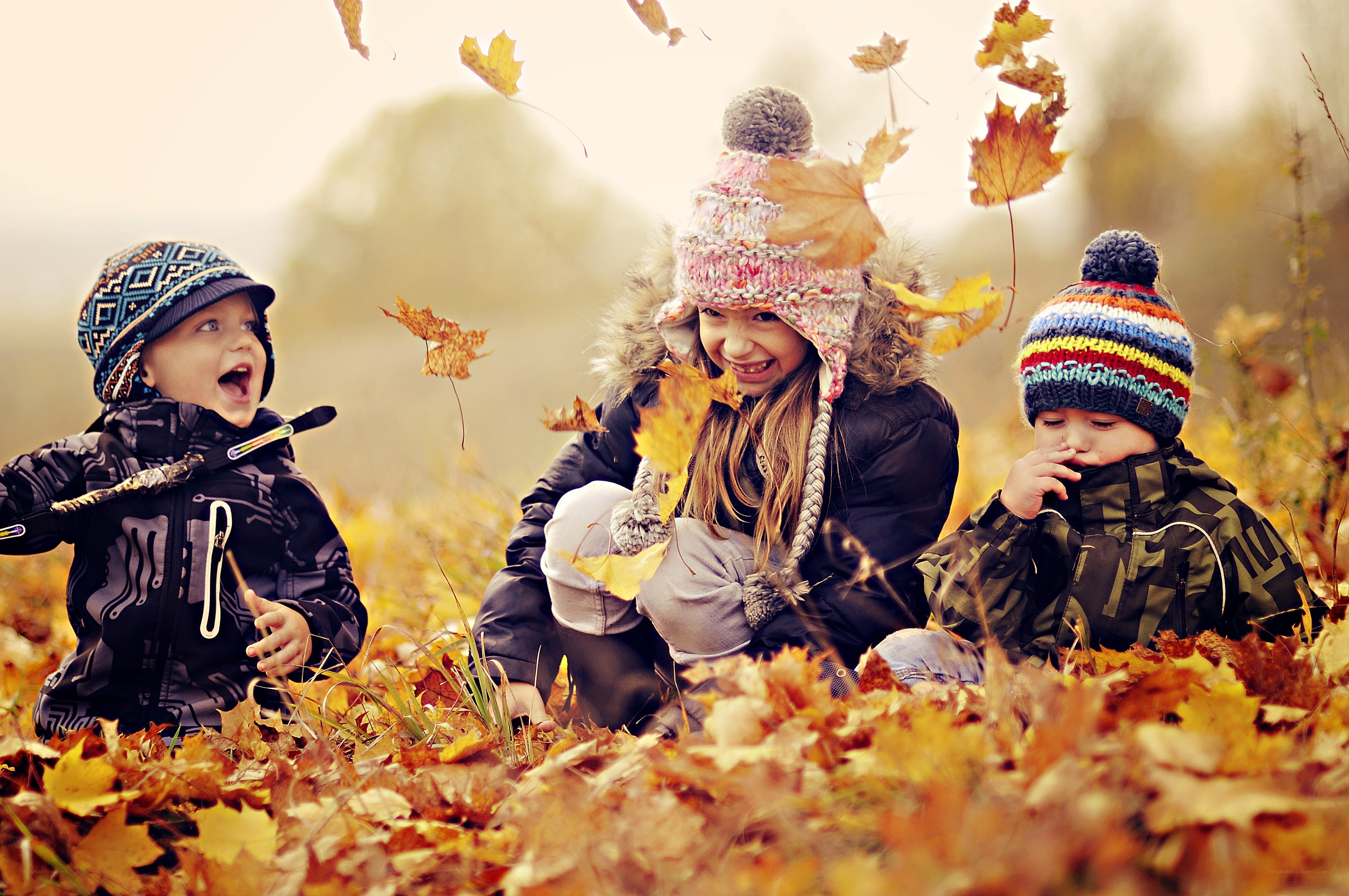 Children playing in autumn leaves