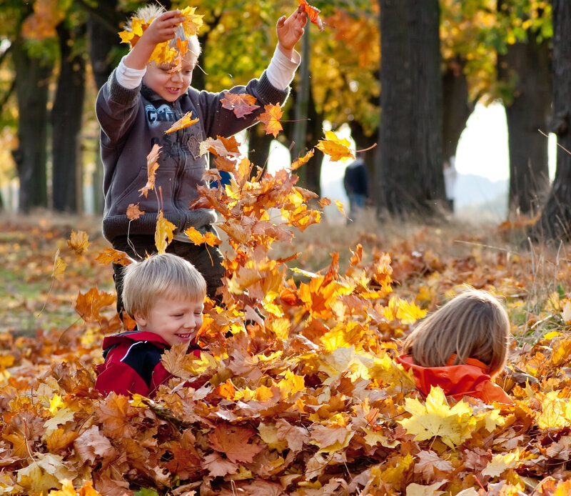 Children Playing in Leaves