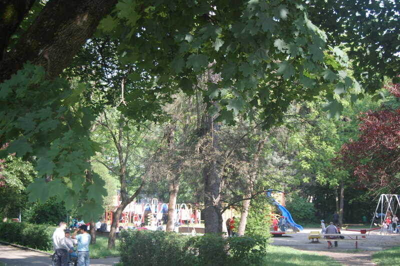 Children Playing in Park
