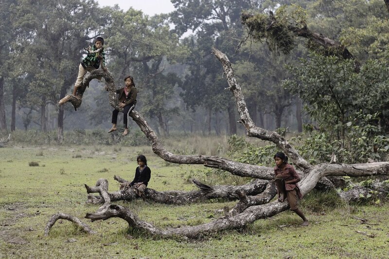 Children playing on a fallen tree