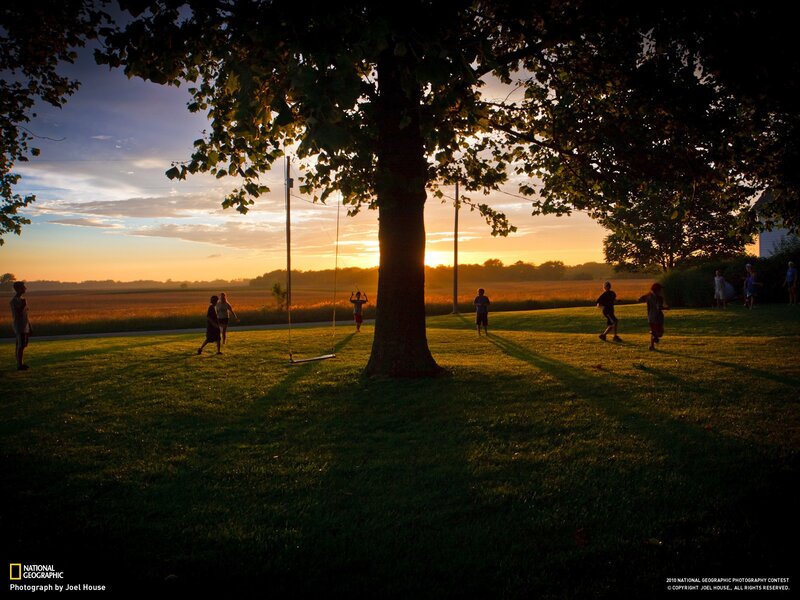 Children Playing on Lawn