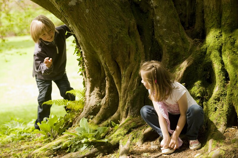 Children Playing under Tree