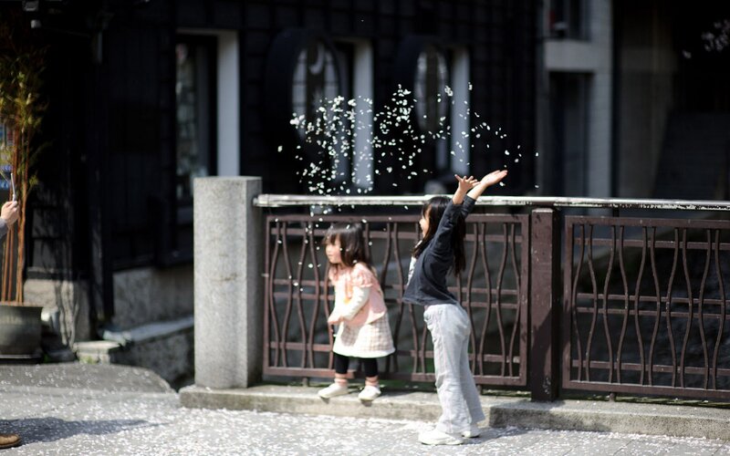 Children playing with cherry blossoms