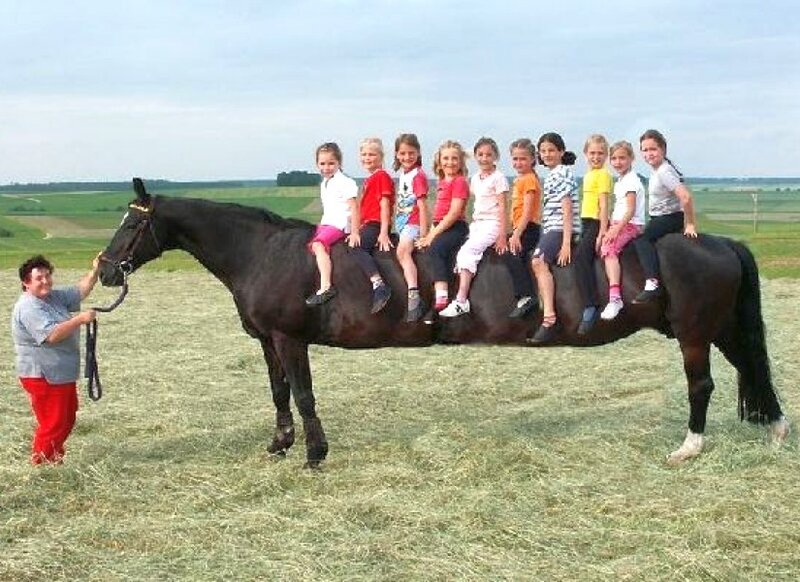 Children riding a horse