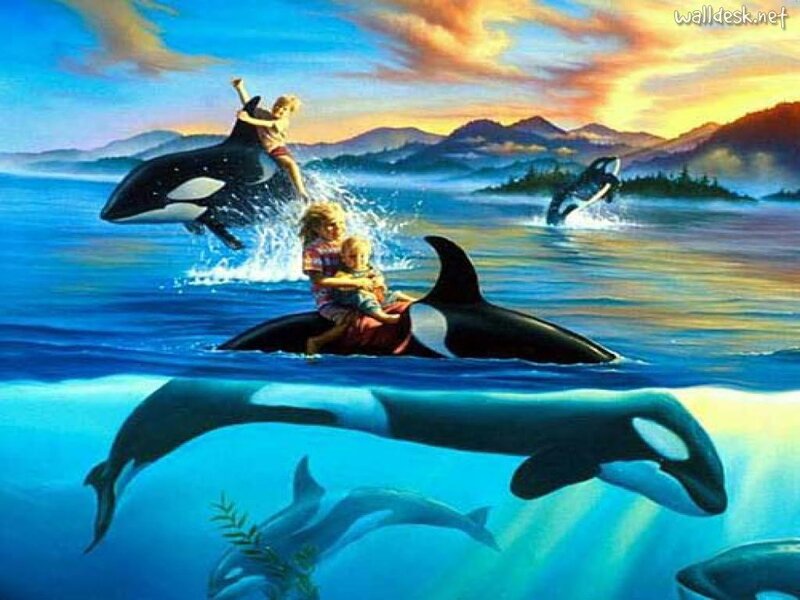 Children Riding Orcas