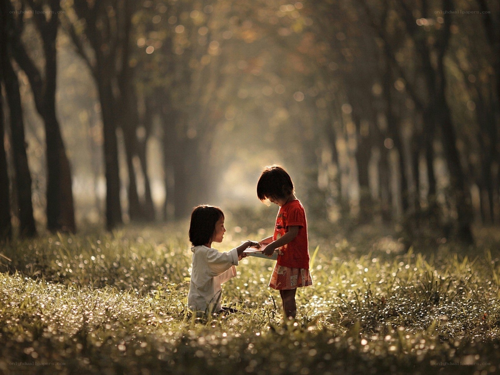 Children sharing in a sunlit forest