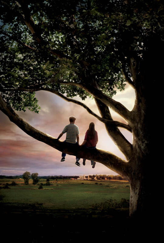 Children sitting in a tree